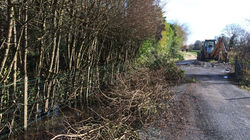 100E29D9-F863-4DEE-BF36-8B69691014A7