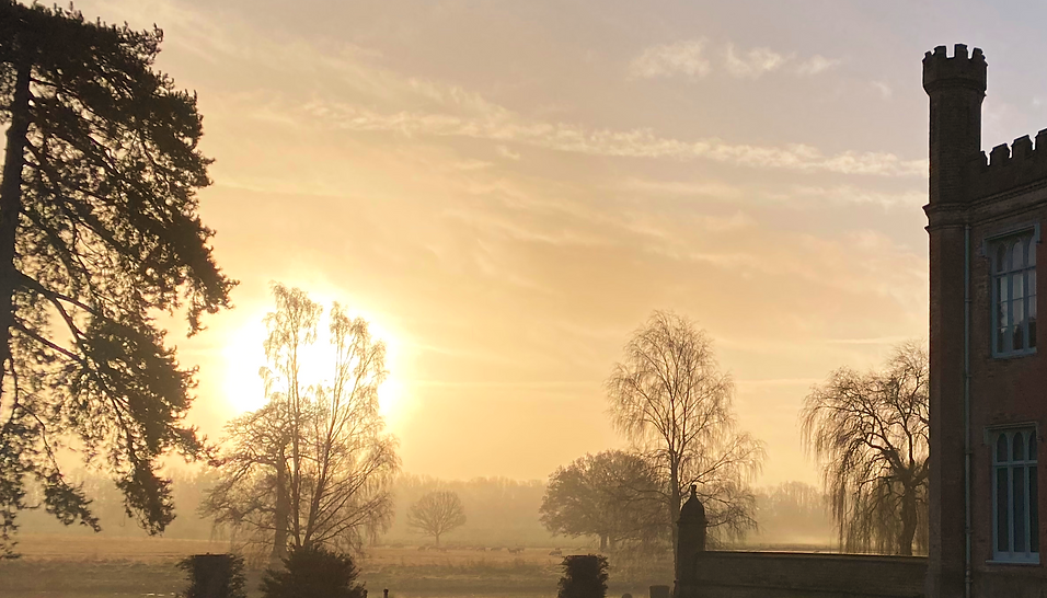 IMG_1517 2_edited_edited_edited.png