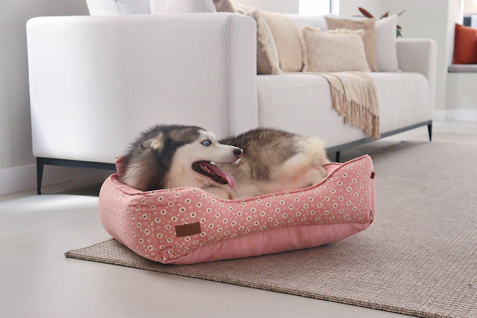 Miniatura: Cama Bear Face