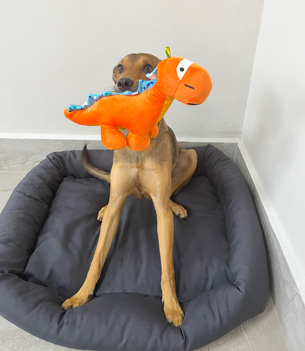 Thumbnail: Dino Rex 1