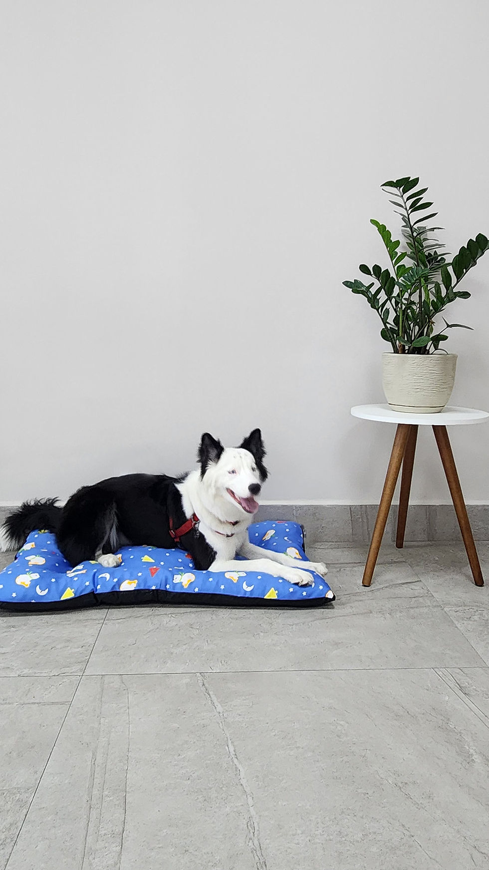 Thumbnail: Almofada Ret Estampada