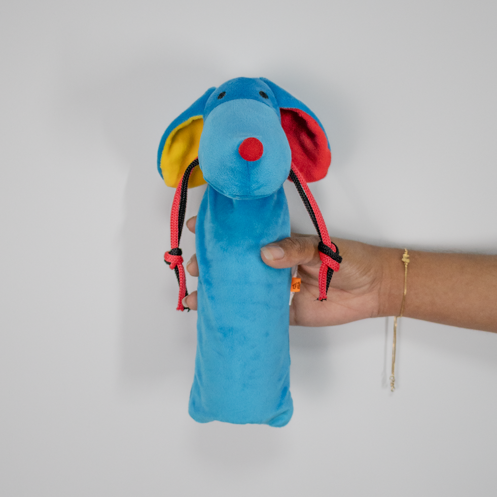 Miniatura: Cachorro Garrafa Pet Romeo