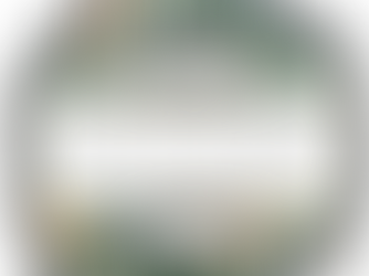 The Magnolia Mercantile