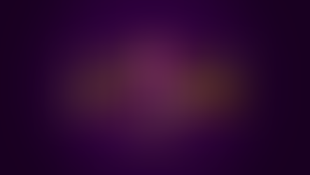 Lisa's Wedding Vacation Childcare LLC