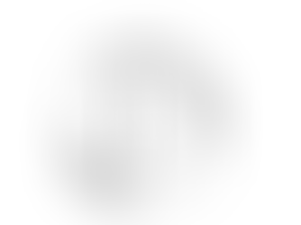 Lizzy’s All Naturals