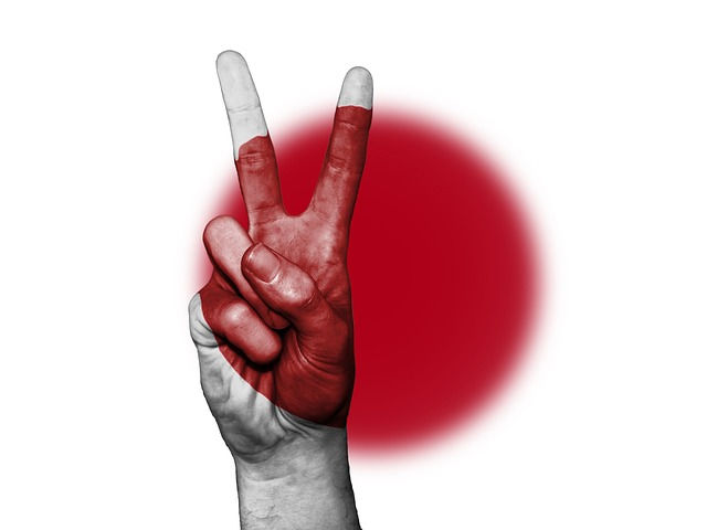 日本国旗と勝利のVサインの写真