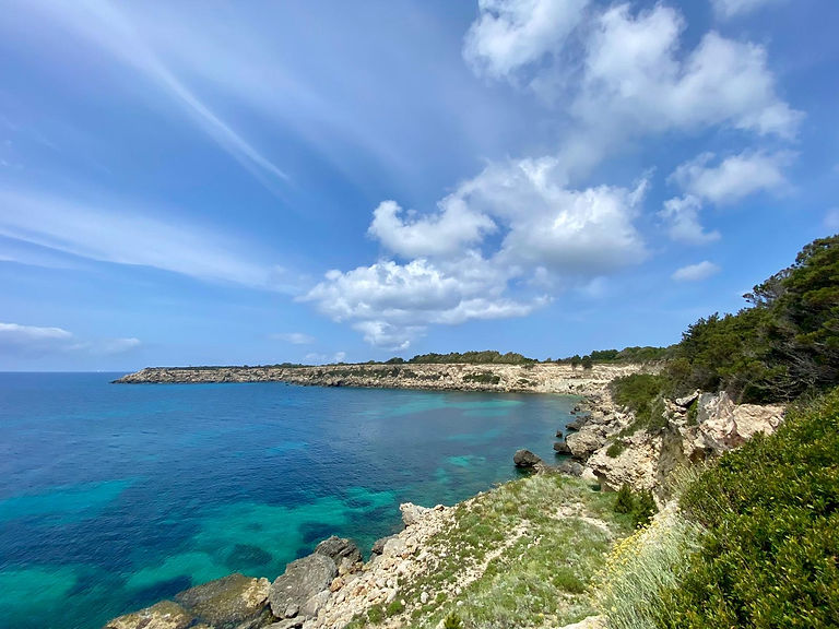 WhatsApp Image 2025-11-26 at 08.55.42 (2).jpeg