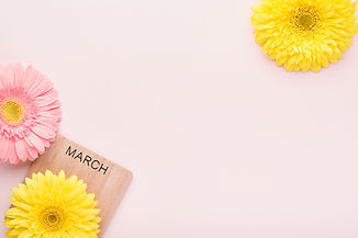 8-march-international-womens-day-two-gerberas-pink-yellow-pink-envelope-pink-background-co