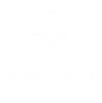 renault_edited.png