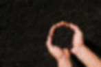 flat-lay-hands-holding-soil.jpg