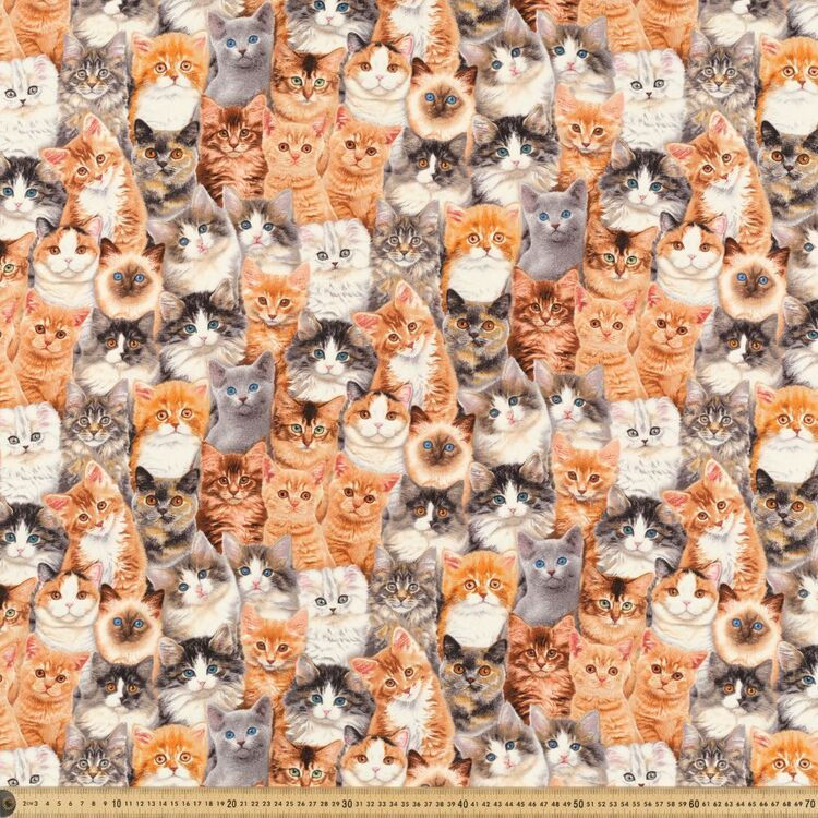 Thumbnail: Cat Themed Cushion Covers