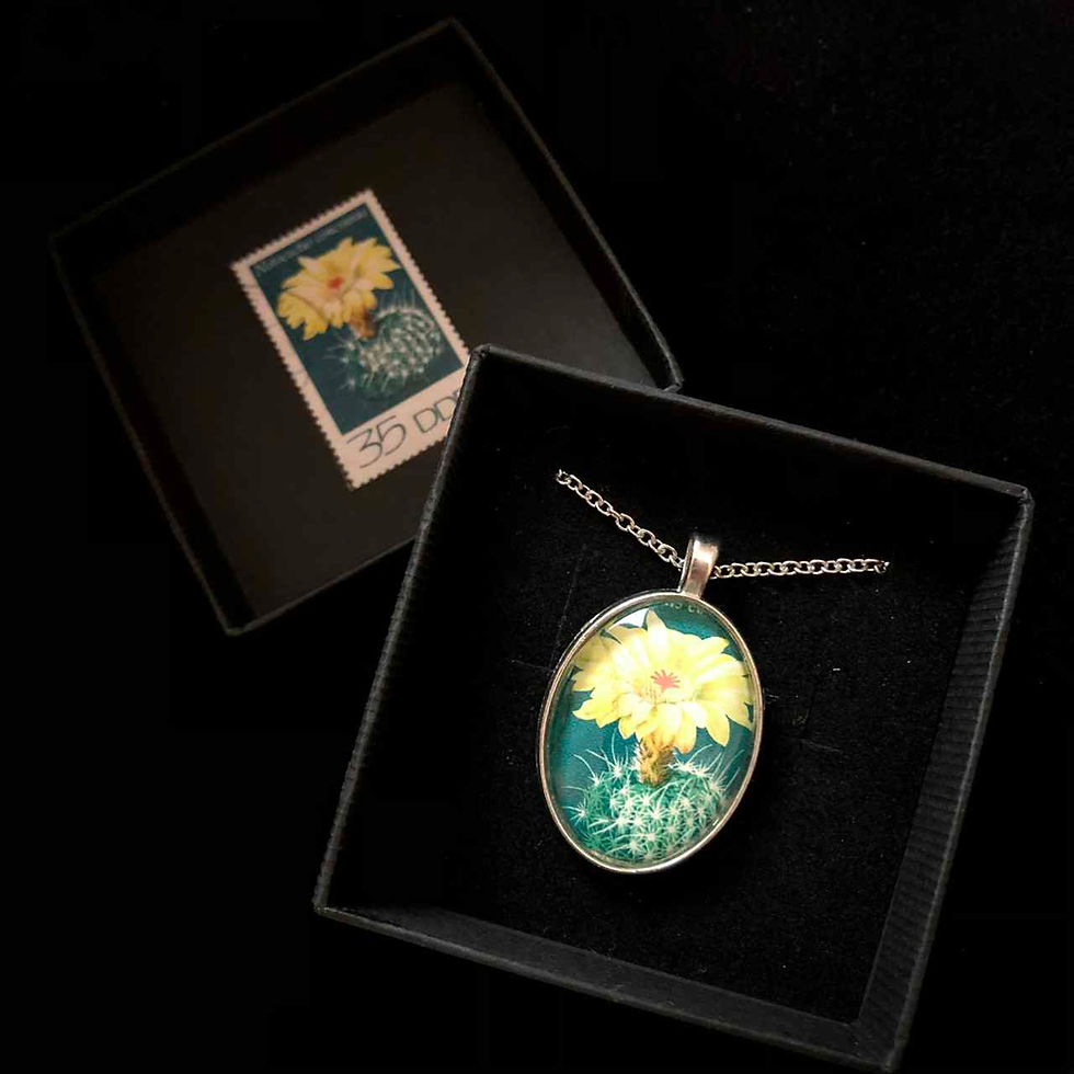 Miniature : blühender Kaktus (gelb, gestempelt)