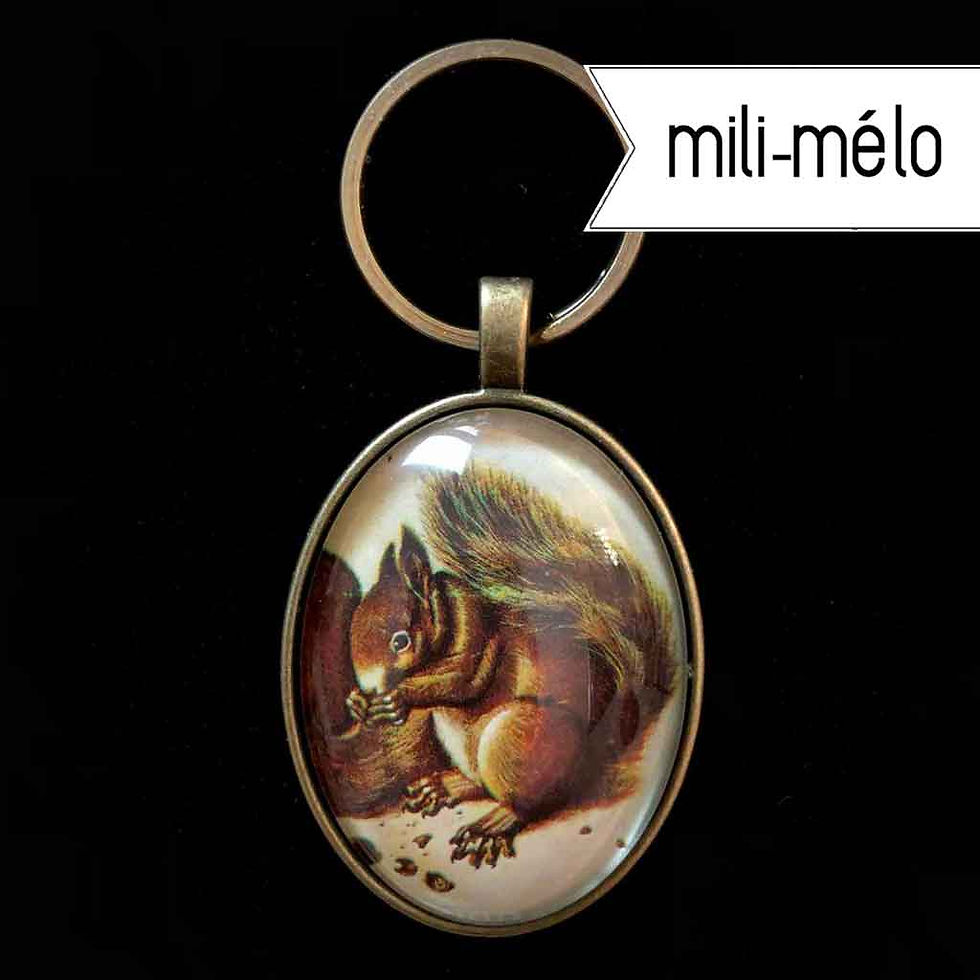 Miniature : mili-mélo: Eichkätzchen, Albrecht Dürer, Paraguay