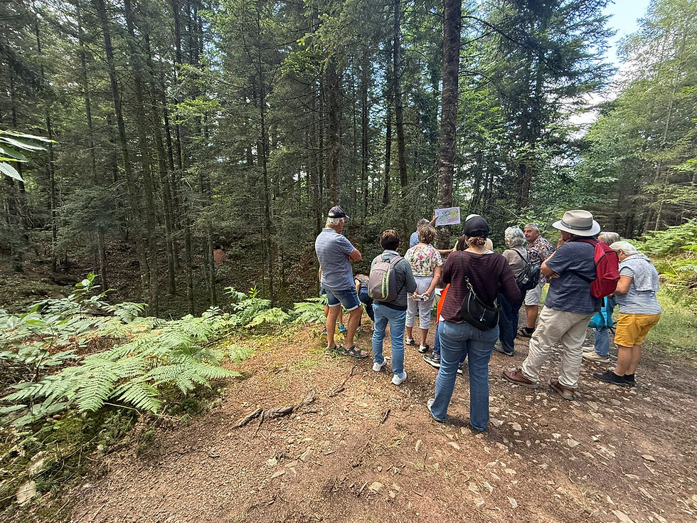 Balade géologique dans le Monde de l'Or