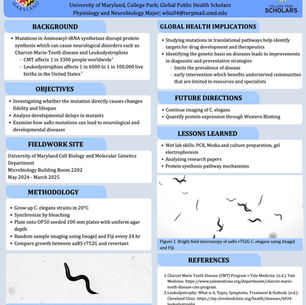 Cell Biology & Molecular Genetics Ling Lab Research