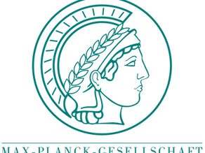 Inteligência artificial para mostrar sua cara