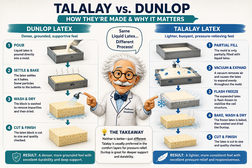 Talalay vs Dunlop