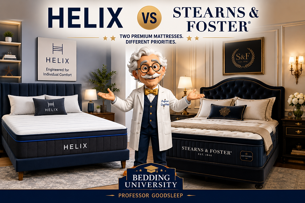 Animated professor between Helix and Stearns & Foster beds in a showroom; text reads Helix vs Stearns & Foster, Bedding University.