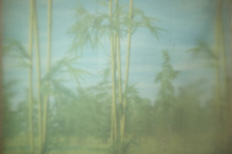 A Chinese bamboo forest painted on a shower curtain in the bathroom of a hotel room in Boten. This zone is frequently marketed as a place of pristine natural beauty, while also positioning itself as a global city. The opacity of the glass and the wear of the curtain give a nostalgic and slightly artificial quality to the nature depicted, reflecting the contrast between the region’s real landscape and its constructed image. Laos, May 2023.