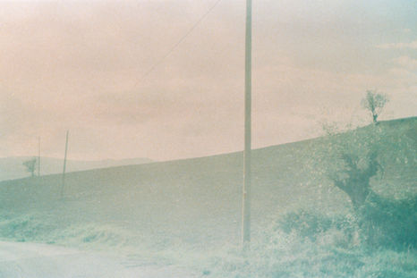 Freddezza, Travo. Emilia Romagna. July 2022.