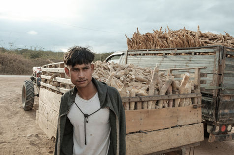 A farmer selling their cassava harvest at a roadside processing factory in Khammuane Province, Laos. Cassava cultivation has experienced a significant increase over the past few years, becoming one of the country’s major cash crops. Much of the harvested cassava is exported to China, where demand for the crop has increased steadily. This expansion highlights the growing role of commercial agriculture in Laos, as many farmers now depend on cash crops for their livelihoods. Laos. January 2023.