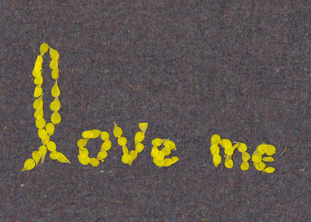 Love Me Tender | Assemblage