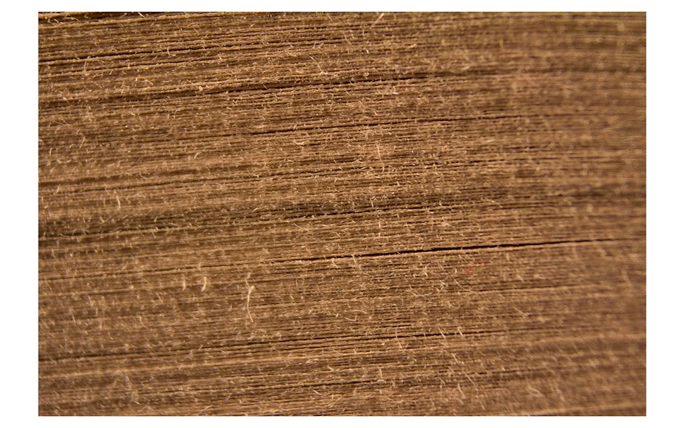 Paper Fibers