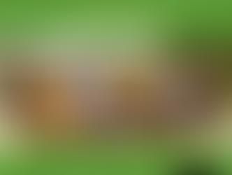 #LatePost: Atlanta-based Alpha Rho Chapter Brothers Wrap Summer Season With Smoker & Field Day