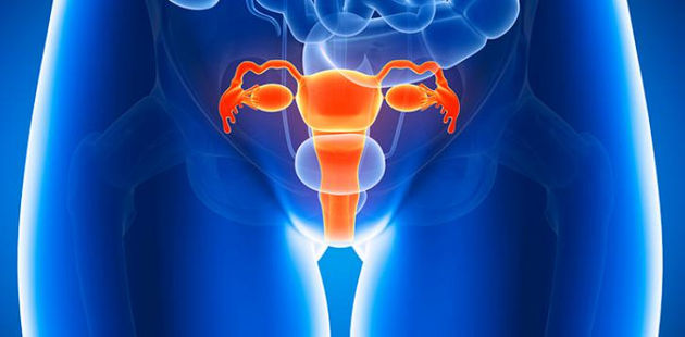 Uteros desechables