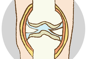 glucosamine_img001.png