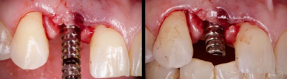 Foto per gentile concessione: Dott. Di Domenico