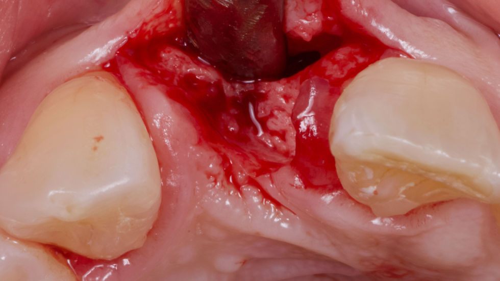 Foto per gentile concessione: Dott. Di Domenico