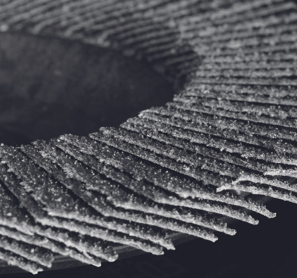 dischi lamellari.jpeg