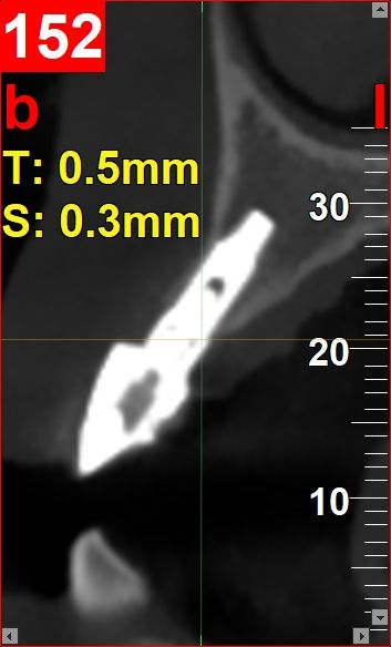 Foto per gentile concessione: Dott. Di Domenico