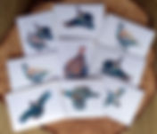 Greetings card 3.jpeg