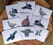 Greetings card 3.jpeg