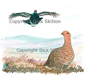 Grouse shoot card game shooting original artwork