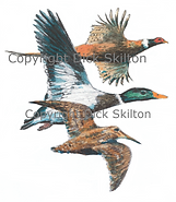 Phesant duck and woodcock in flight game shooting shoot cards