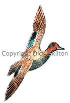 Teal duckin fight game shooting shoot cards original artwork