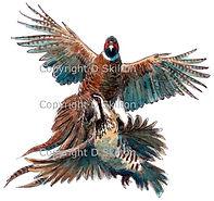 Pheasant partridge in flight shoot cards game shooting