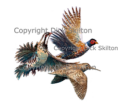Pheasant partridge and woodcock game shooting shoot cards
