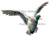 Duck in flight game cards shoot cards bepoke original artwork