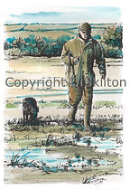 Game keeper with gun dog, pheasant shooting, shoot cards