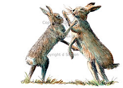 Boxing hares, game shooting, shoot cards, pheasant