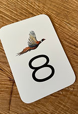 shooting peg, peg number, peg marker, gun peg, shoot peg, plastic peg sign, peg marker for shooting, peg number for shooting