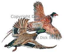 Pheasant and Duck in flight game shooting shoot cards