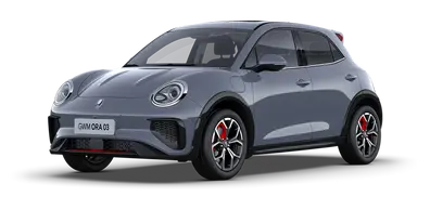 GWM Ora 03 in grau