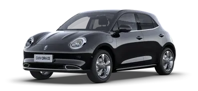 GWM Ora 03 in schwarz