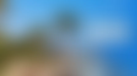 Black Friday is here!