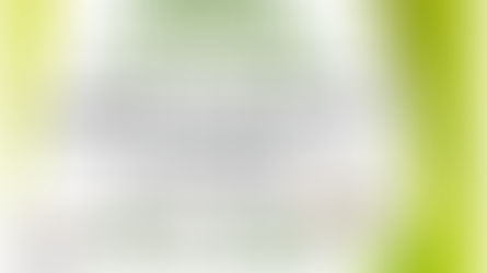 秋の一斉清掃のお知らせ